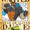 Retrato One Piece Wanted Digital (HD)