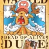 Retrato One Piece Wanted Digital (HD)