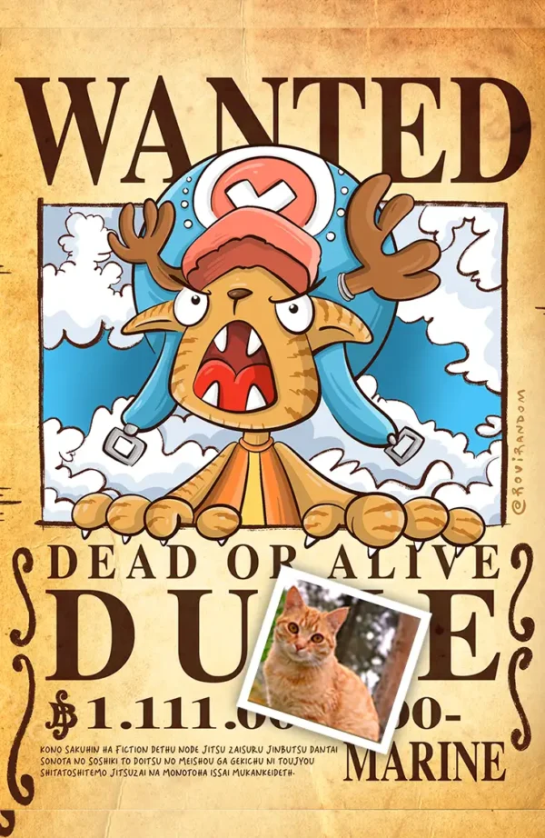 Retrato One Piece Wanted Digital (HD)