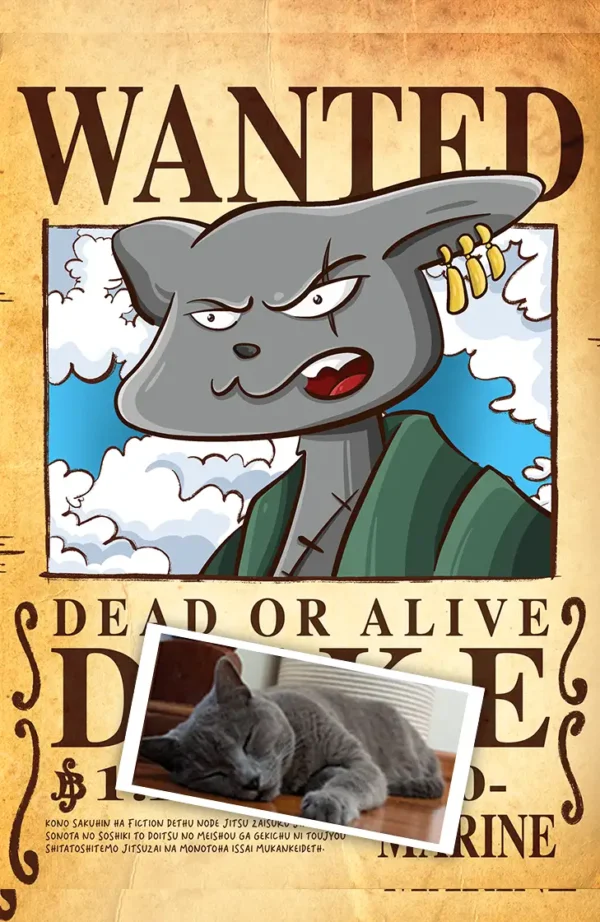 Retrato One Piece Wanted Digital (HD)