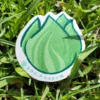 bulbasaur1 Pack Completo Bulbasaur