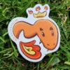 charmander2 Pack Completo Charmander
