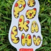 pikachu10 Pack Completo Pikachu