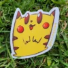 pikachu9 Pack Completo Pikachu