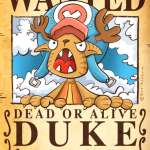 Retrato One Piece