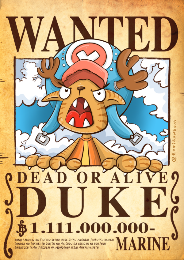 Retrato One Piece